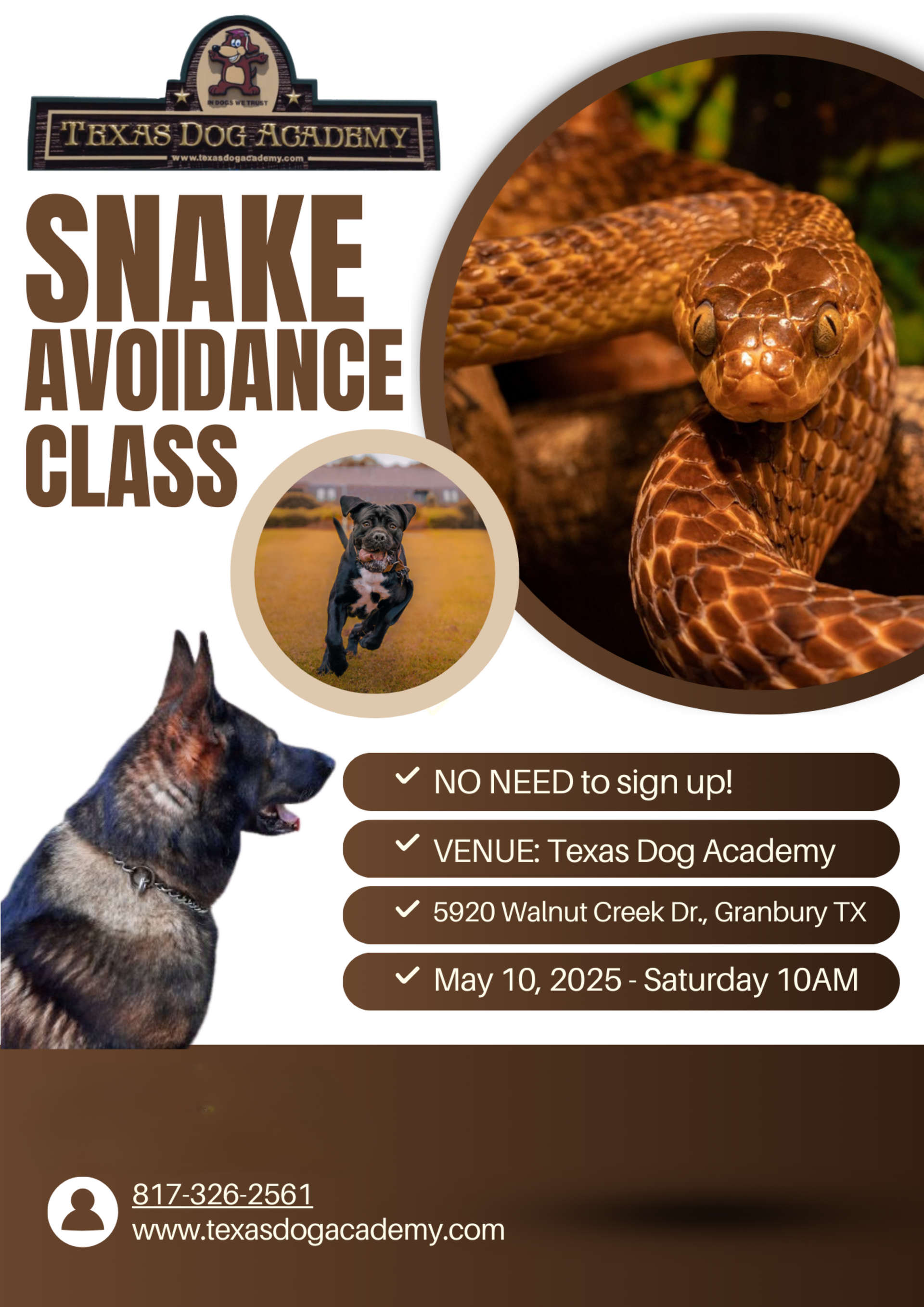 A poster for a snake avoidance clinic in granbury texas