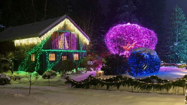 A snowy house and yard illuminated by colorful Christmas lights, surrounded by trees.