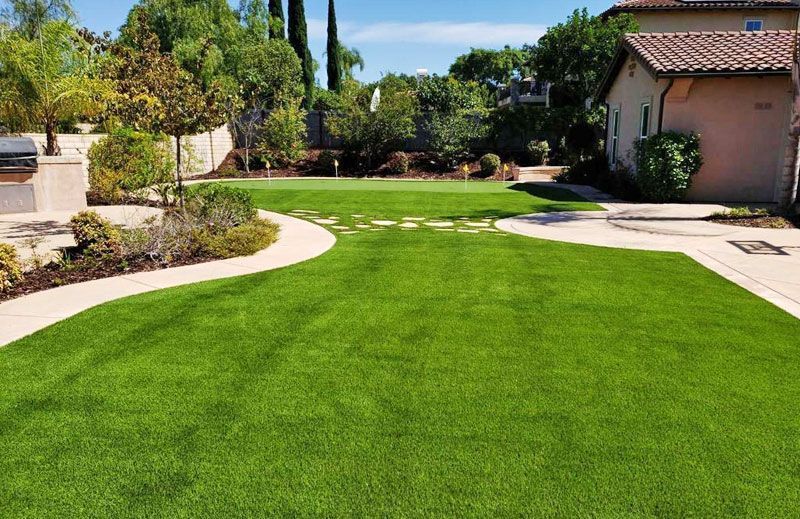 Green artificial lawn with stone path and trees in a sunny backyard.