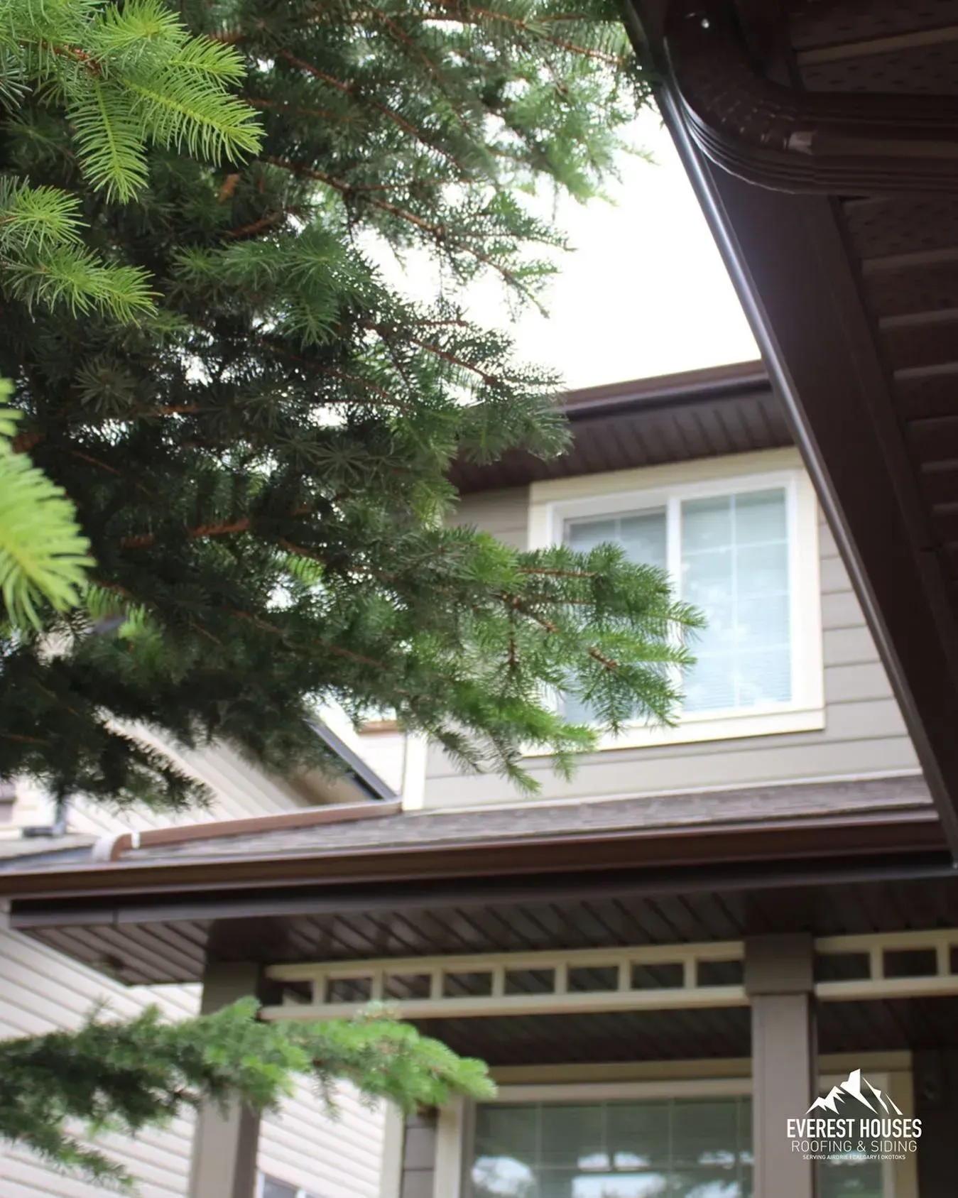 Tree branches framing a house exterior with light siding and a white-framed window