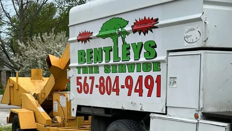 Bentleys Tree Service truck and woodchipper with company contact information 567-804-9491, printed in red and green text.