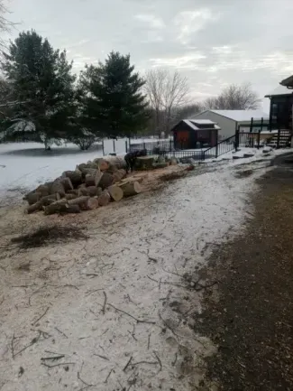 A large pile of cut logs sits on a snowy yard near a house and a small shed on an overcast day.