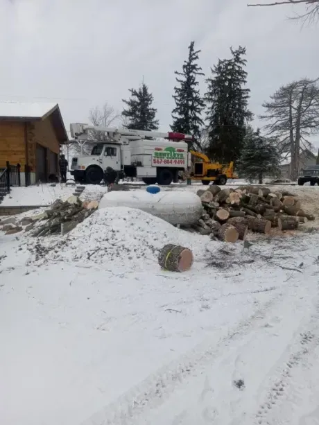 A tree service truck and wood chipper parked on a snowy lot next to a large pile of cut logs near a house.