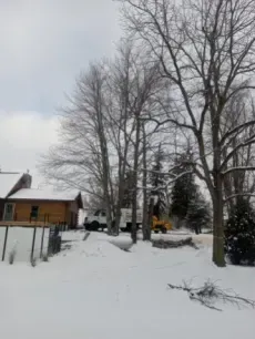 A winter scene with a house partially visible next to a white truck and yellow equipment parked among bare trees in snow.