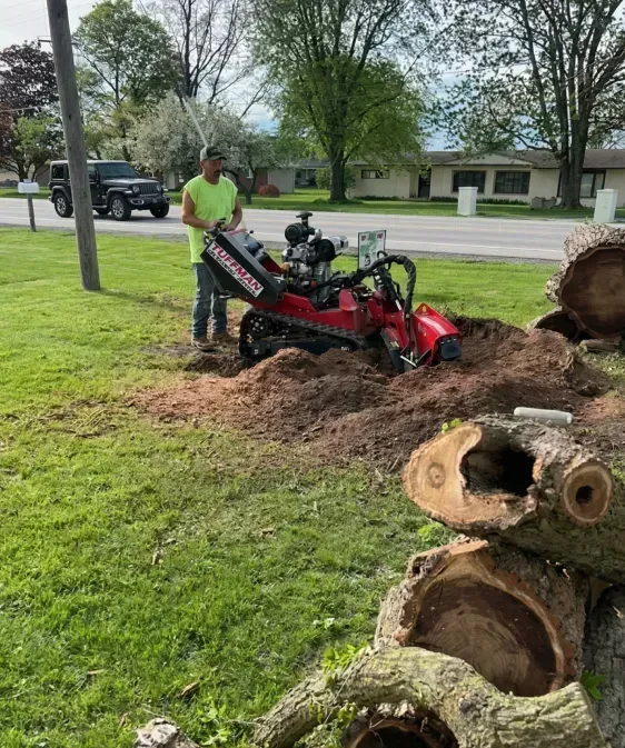 A worker operating a red stump grinder on a residential lawn, with logs piled in the foreground and a house in the back.