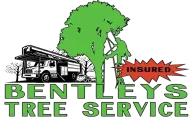 Logo for Bentleys Tree Service featuring a truck, a tree, a person using a ladder, and the word INSURED in a red starburst.