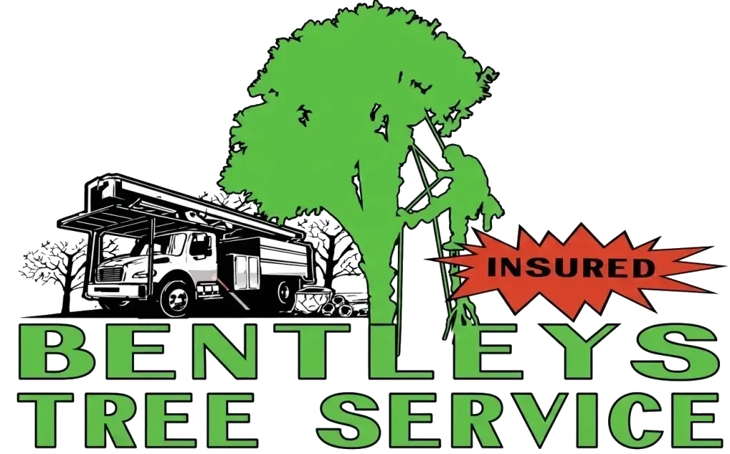 Logo for Bentleys Tree Service featuring a truck, a tree, a person using a ladder, and the word INSURED in a red starburst.