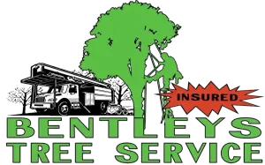 Logo for Bentleys Tree Service featuring a truck, a tree, and a red starburst with the word