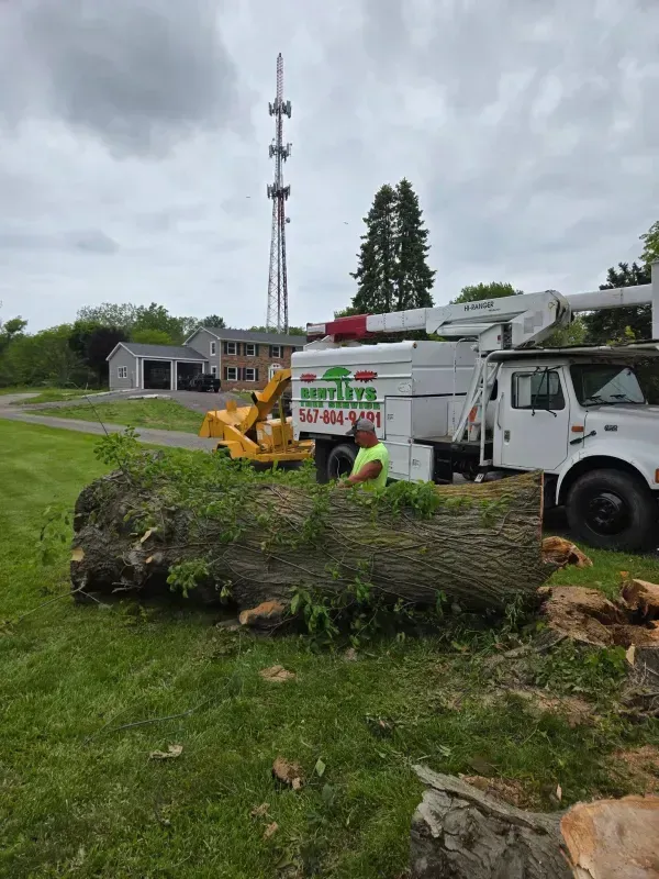 A tree service worker stands near a large downed log beside a white truck and a yellow wood chipper in a grassy field.