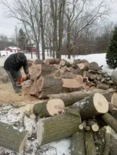 A person wearing a dark jacket and jeans uses a chainsaw to cut logs in a snow-covered yard.