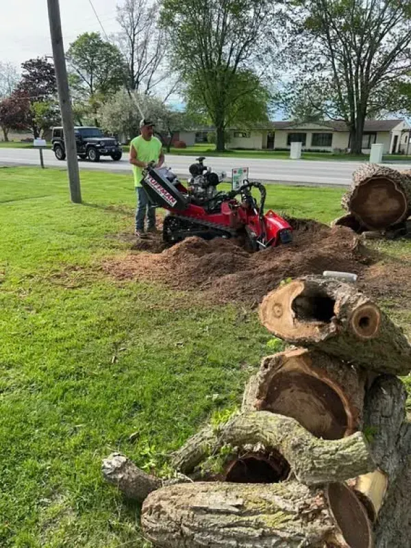 A worker operates a red stump grinder in a grassy yard, with cut log sections stacked in the foreground.