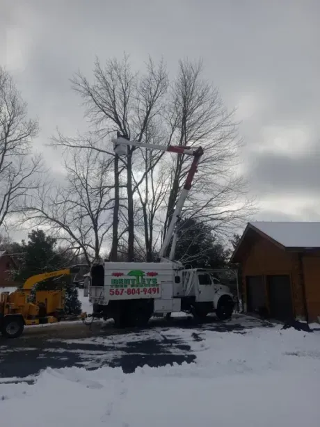 A white tree service bucket truck parked in a snowy driveway with a worker in the raised boom trimming tall, bare trees.