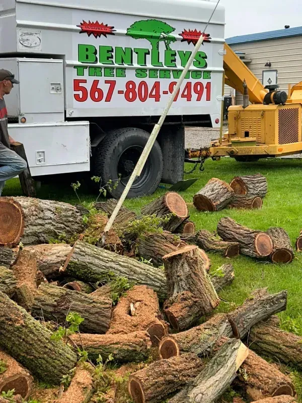 A service truck with Bentleys Tree Service branding parked on a lawn next to a pile of cut tree logs.