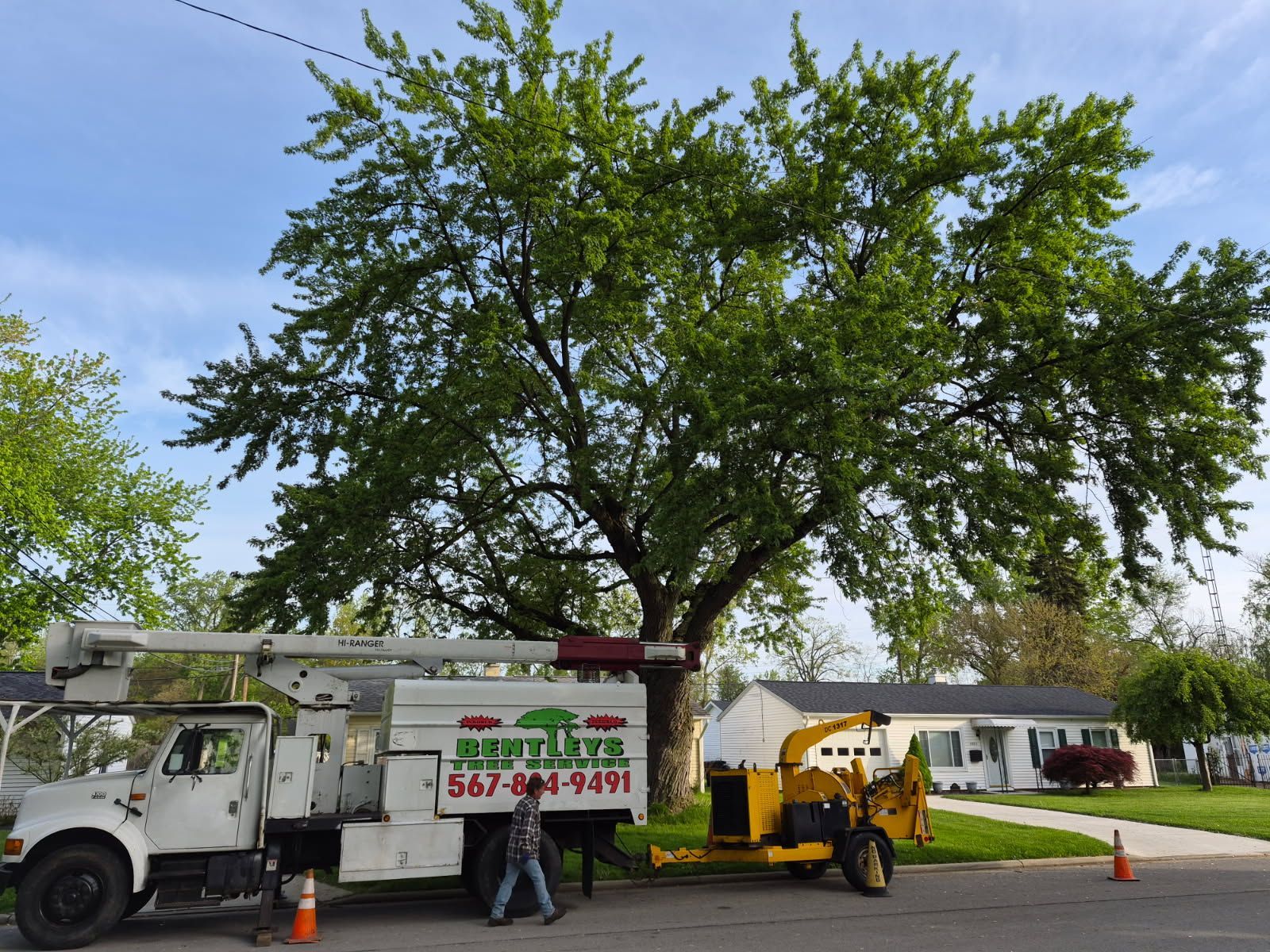 White utility truck and yellow lift under a large tree in a parking lot with orange cones.