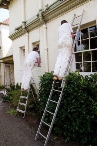 Two painters on ladders are painting a white building's window frames.