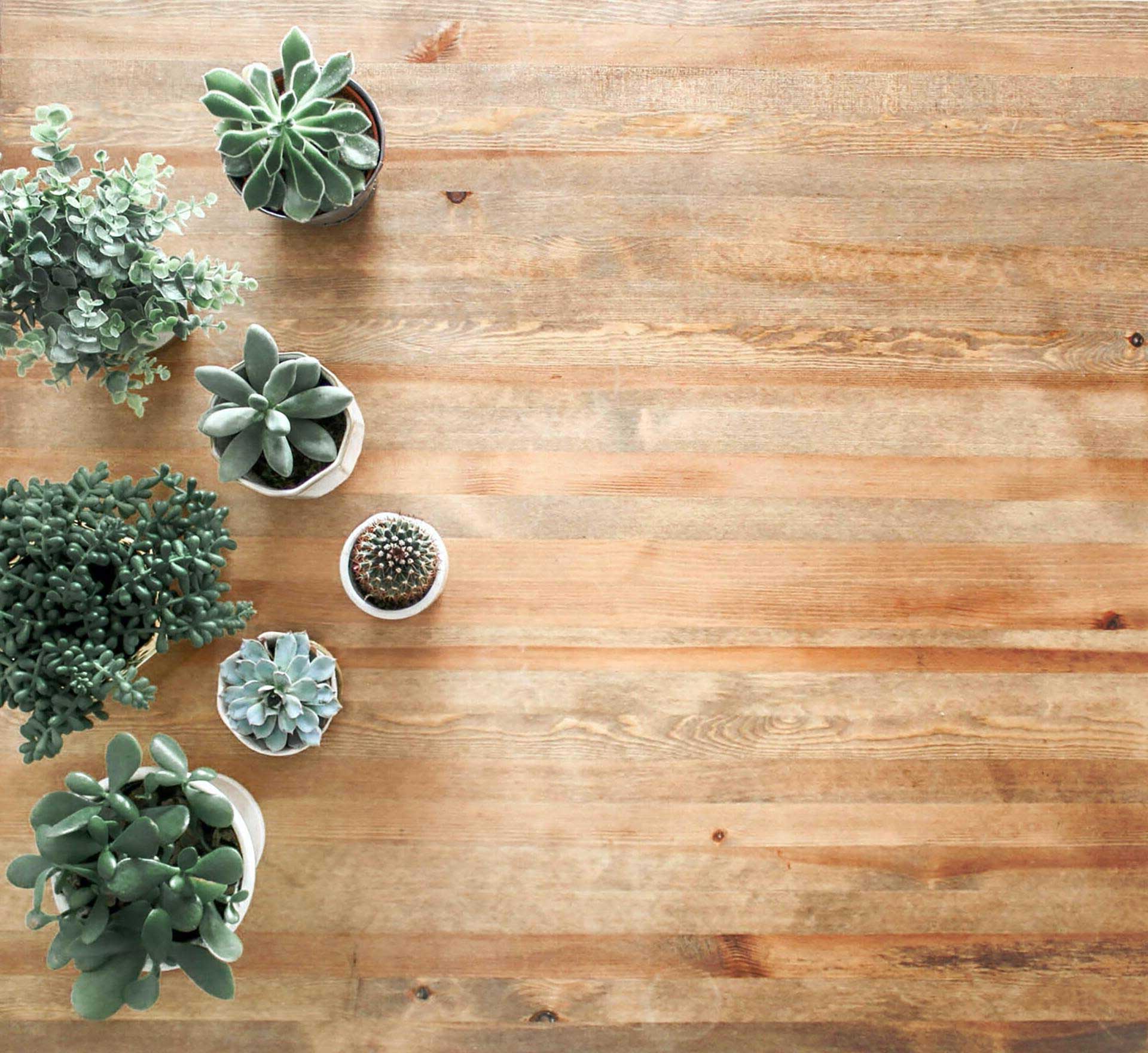 Tregulv med grønne planter