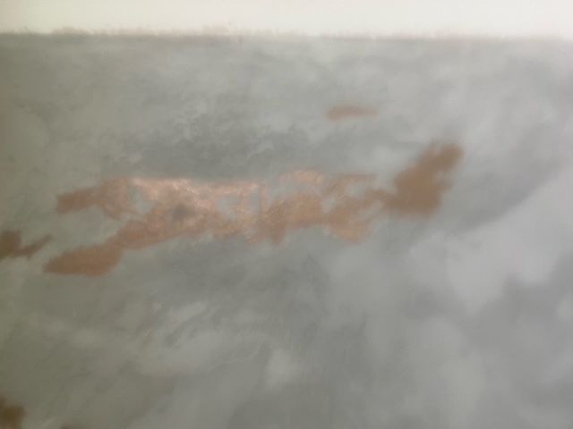 A large, light orange crustacean swimming in murky water.