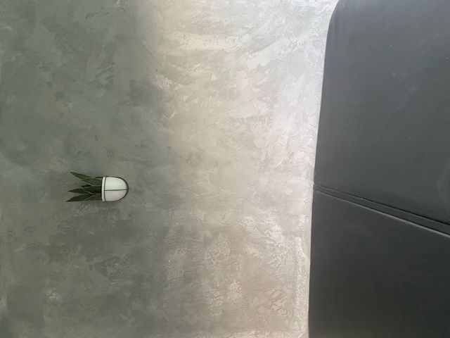 Small potted plant on gray textured surface next to a dark object, likely furniture.