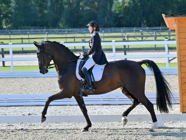 Welpere GMS erste Inter II