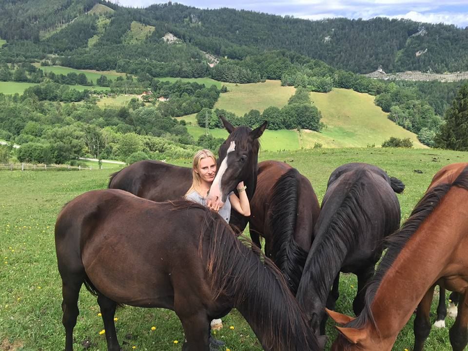 Torres als Jungpferd