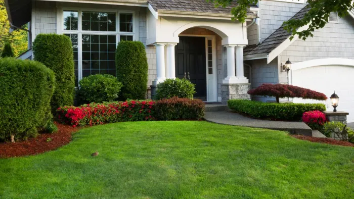 a house with bushes and shrubs outlining their front yard
