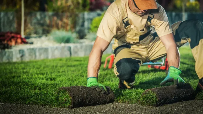 a worker laying sod