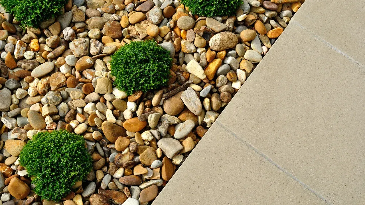 a cement walkway with small bushes in a bed of rocks