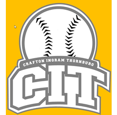 CIT baseball logo with crossed bats and gray-and-white lettering on a gold background