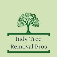 Tree Removal Indianapolis