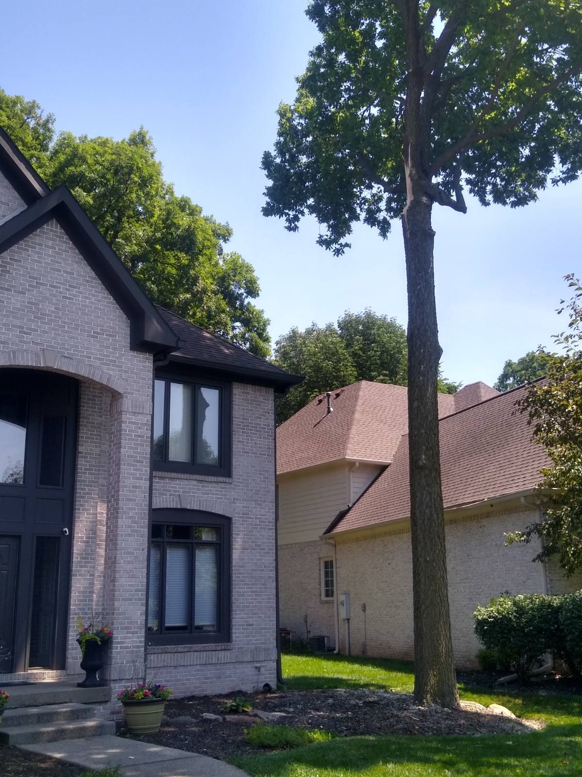 Indianapolis tree service pros