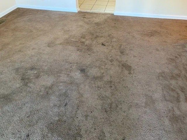 Dirty Carpet — Hopkinsville, KY — Spears Americare
