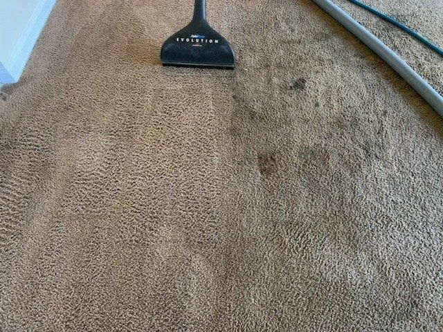 Vacuum Cleaning Dirty Carpet — Hopkinsville, KY — Spears Americare