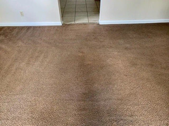Carpet After Cleaning — Hopkinsville, KY — Spears Americare