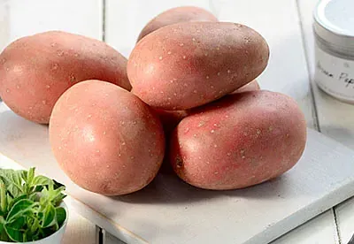 Sėklinės bulvės - Laura