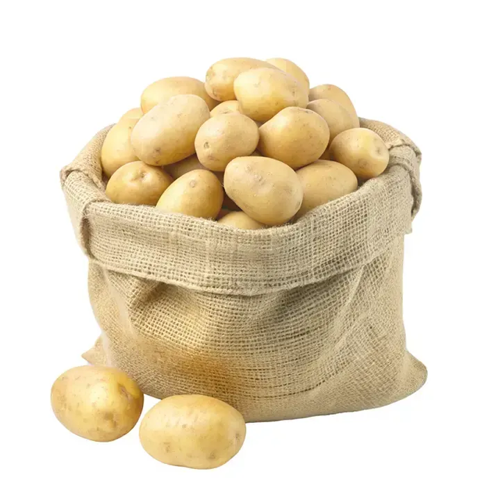 Odontologijos paslaugos