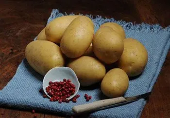 Sėklinės bulvės - Torenia