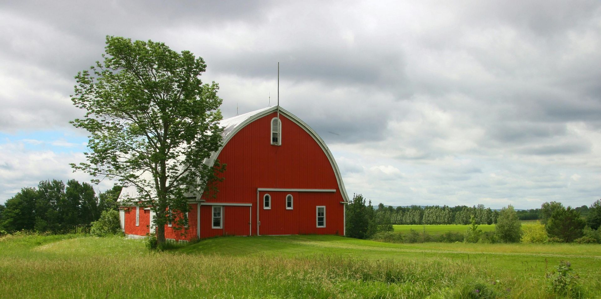 A red barn with a tree in front of it