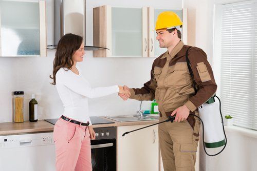 Lady shaking hand with expert after satisfying pesticides job