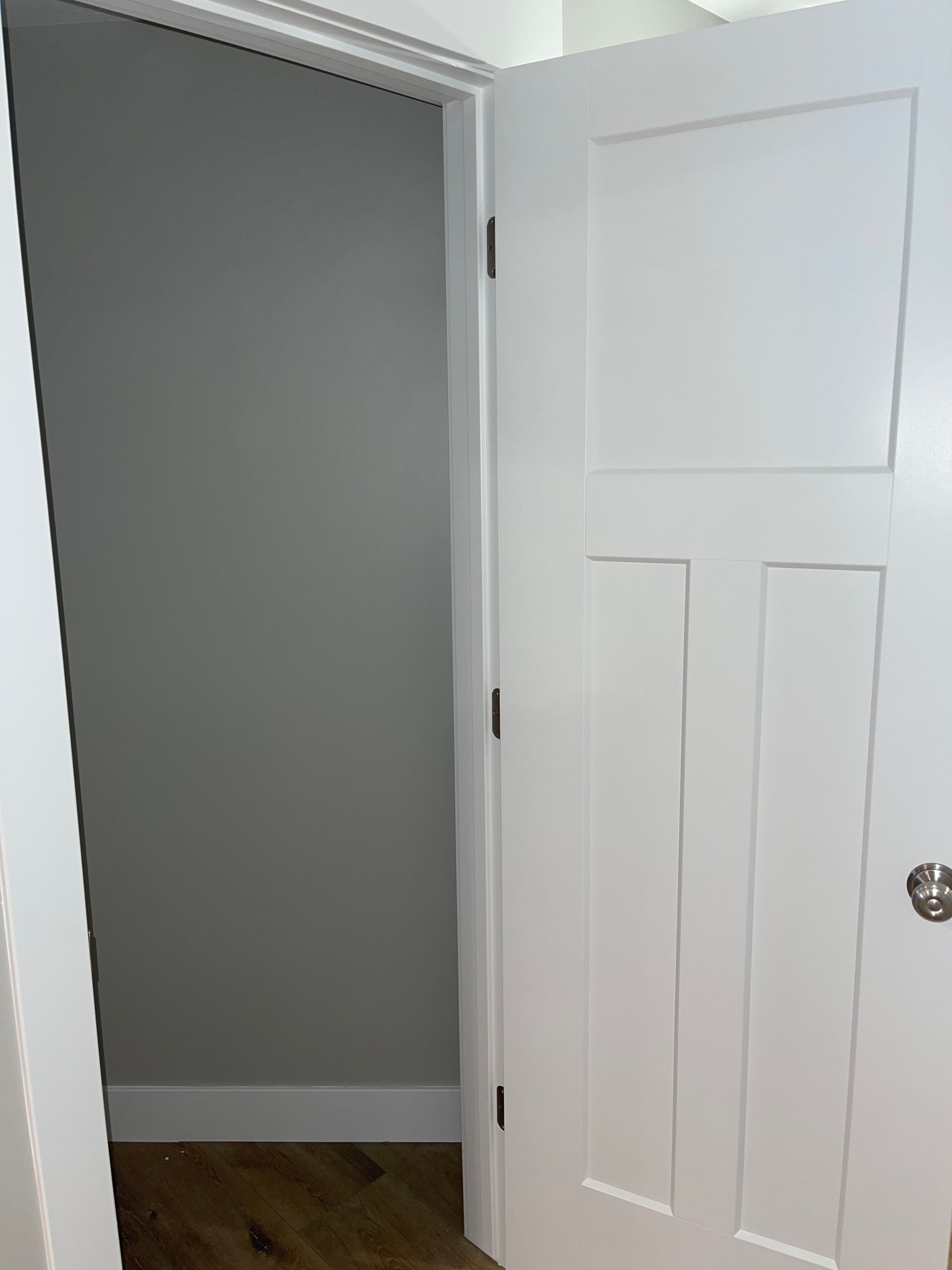 A white door is open to a closet with a gray wall.