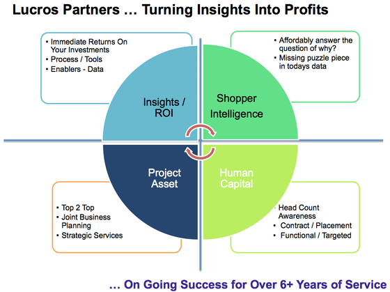 Lucros Partners - Turning Insights into Profits
