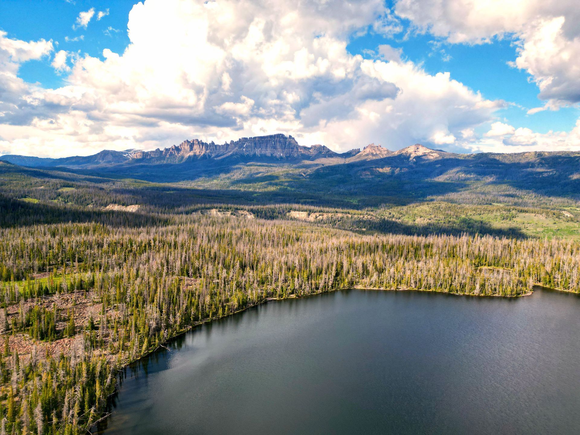 An aerial view of a lake surrounded by trees and mountains.