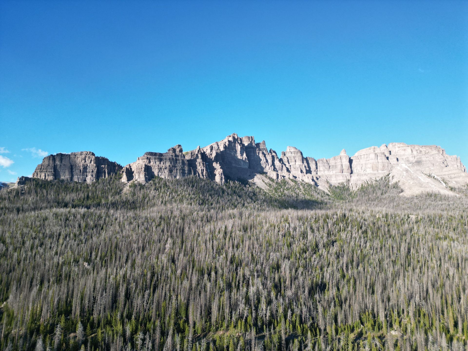 A mountain range with trees in the foreground and a blue sky in the background