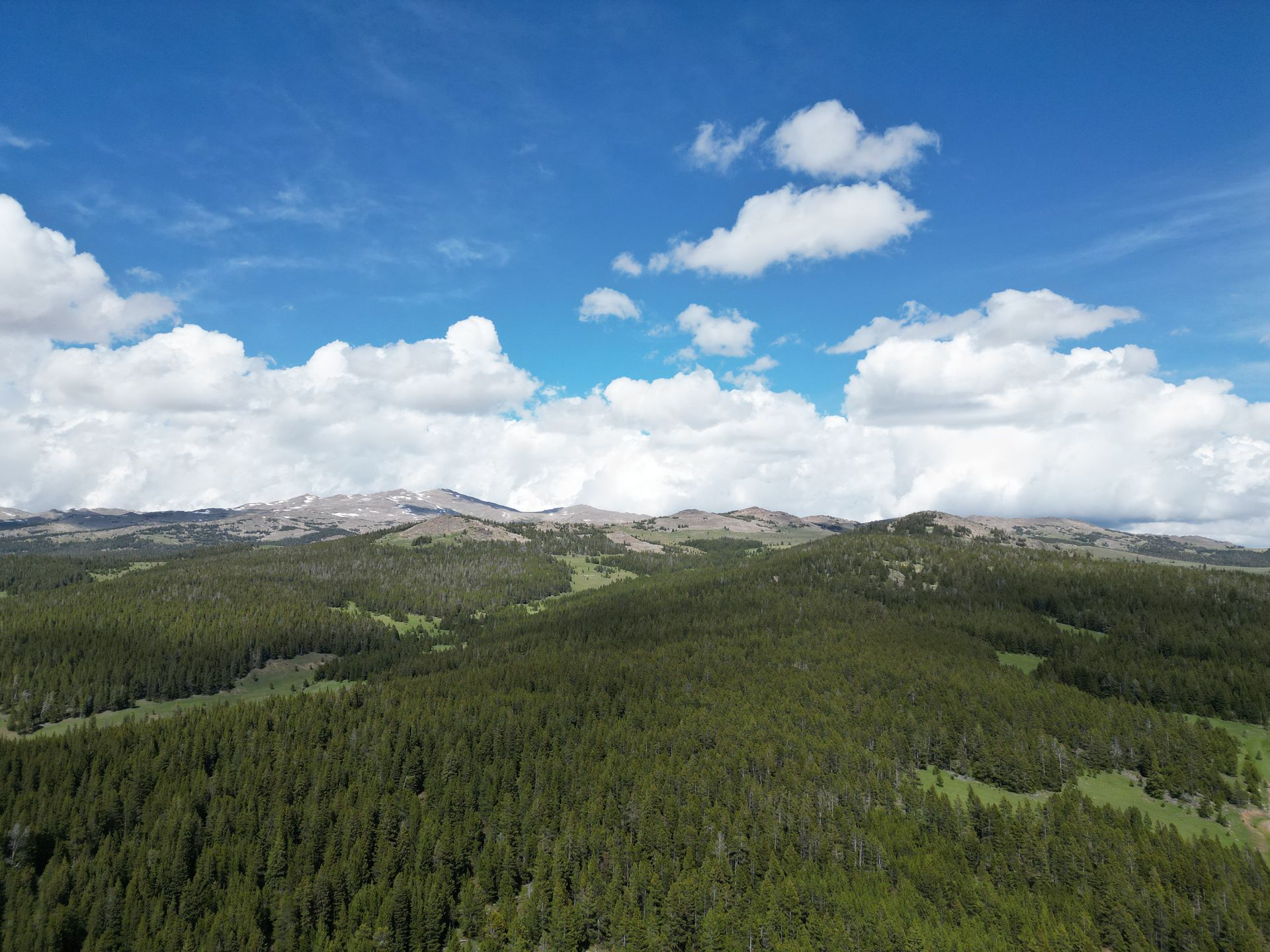 An aerial view of a forest with mountains in the background