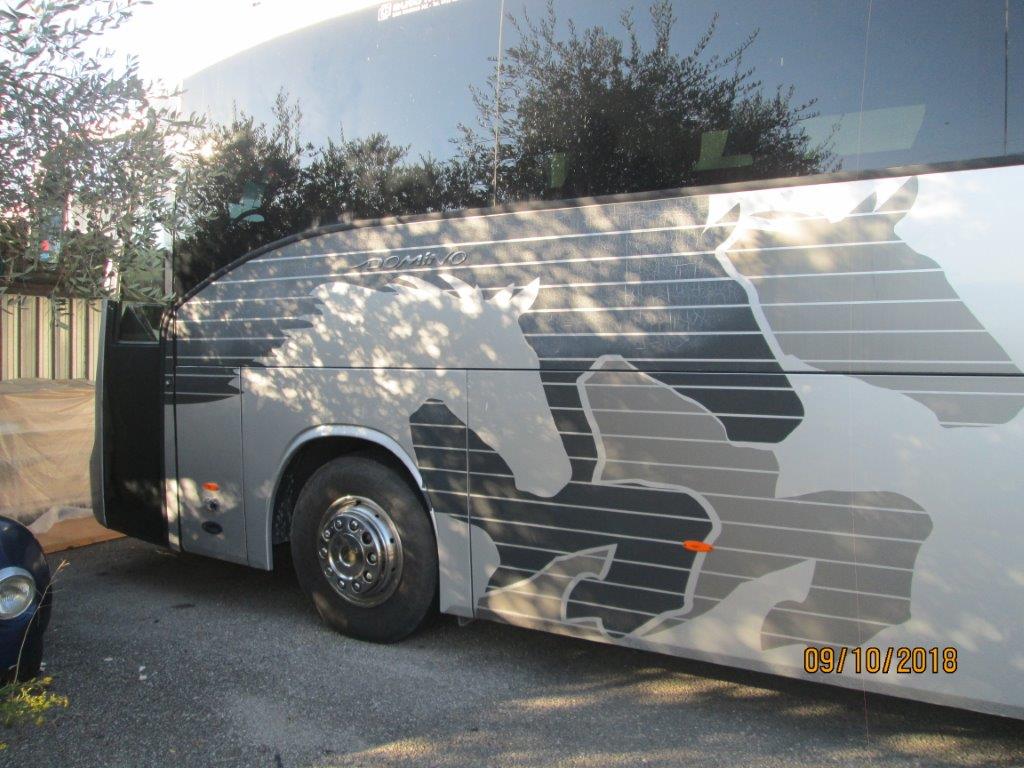 fianca decorata pullman grigio