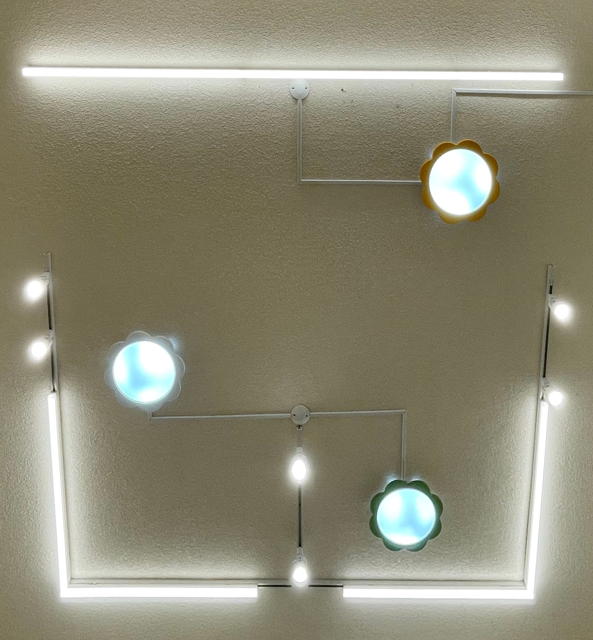 Glowing lights and orbs within a square outline on a beige wall; two light flowers are also present.