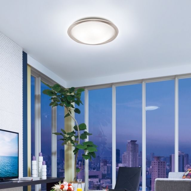Ceiling light in a modern living room with large windows, cityscape view, and a plant.