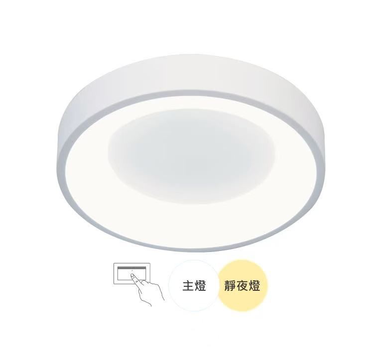 嫦娥壁切吸頂燈