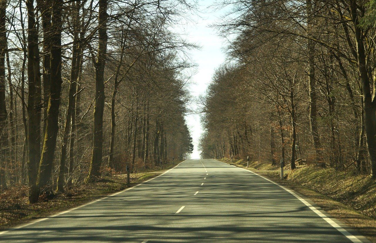 two lane rural road during fall deer season