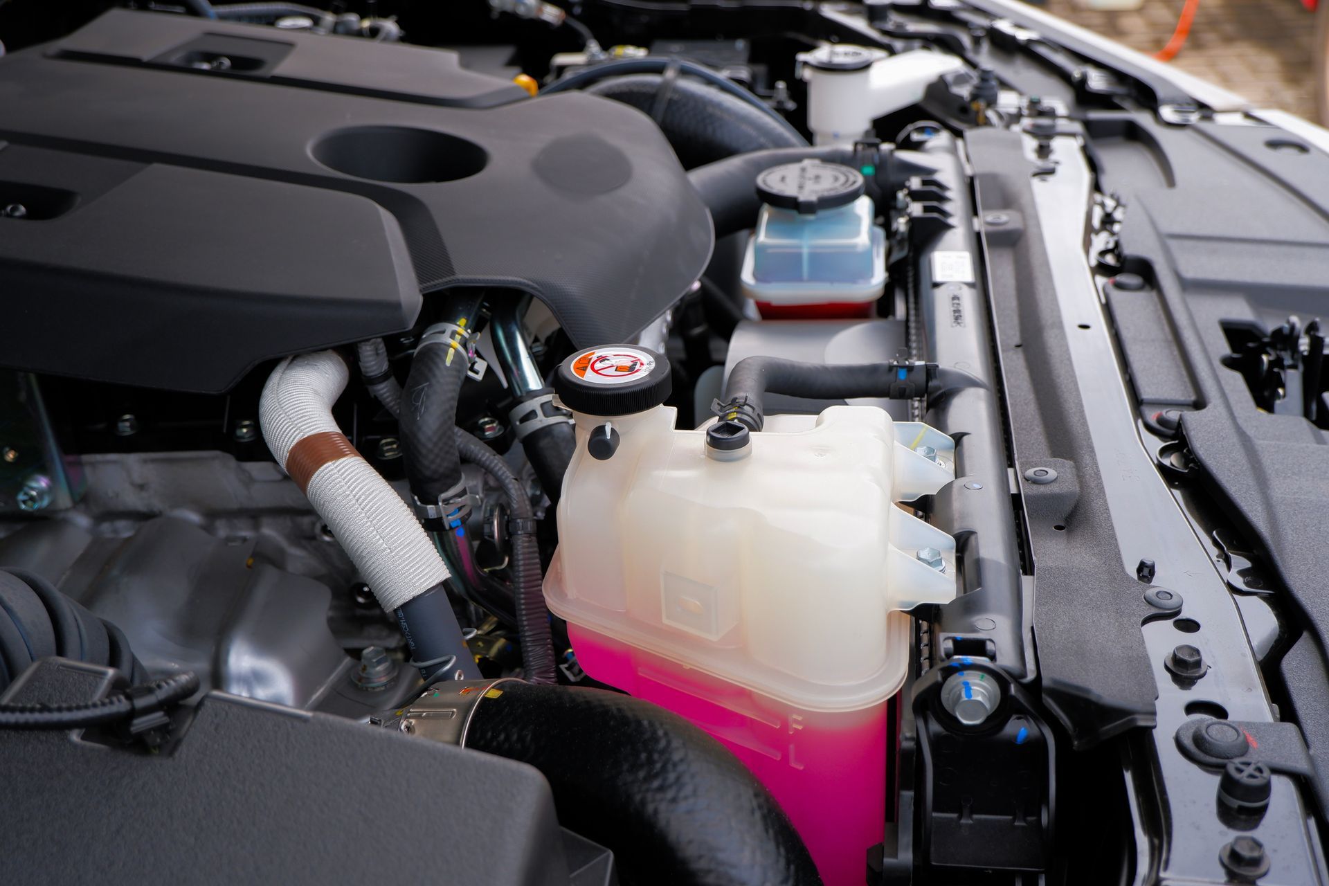 Car engine compartment with pink coolant reservoir and black components.