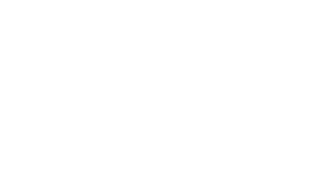 PSI Staffing Solutions Logo